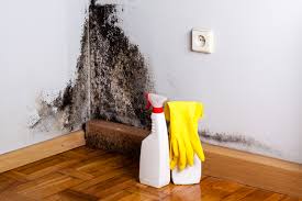 Best Forensic Mold Investigation  in Chickasaw, AL